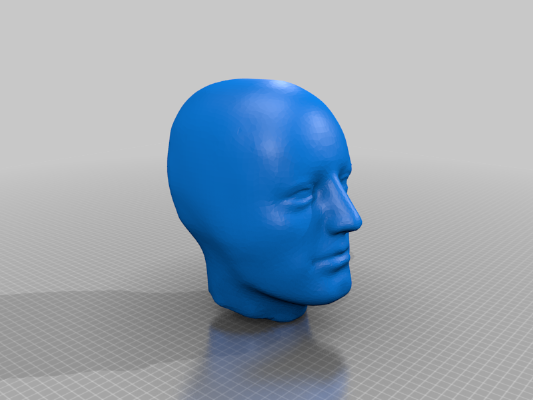 50th Percentile Human Male Head Scan | 3d print model