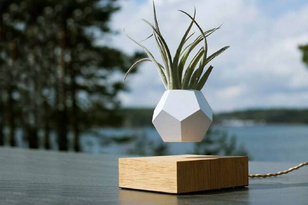 Levitating Planter | 3d print model