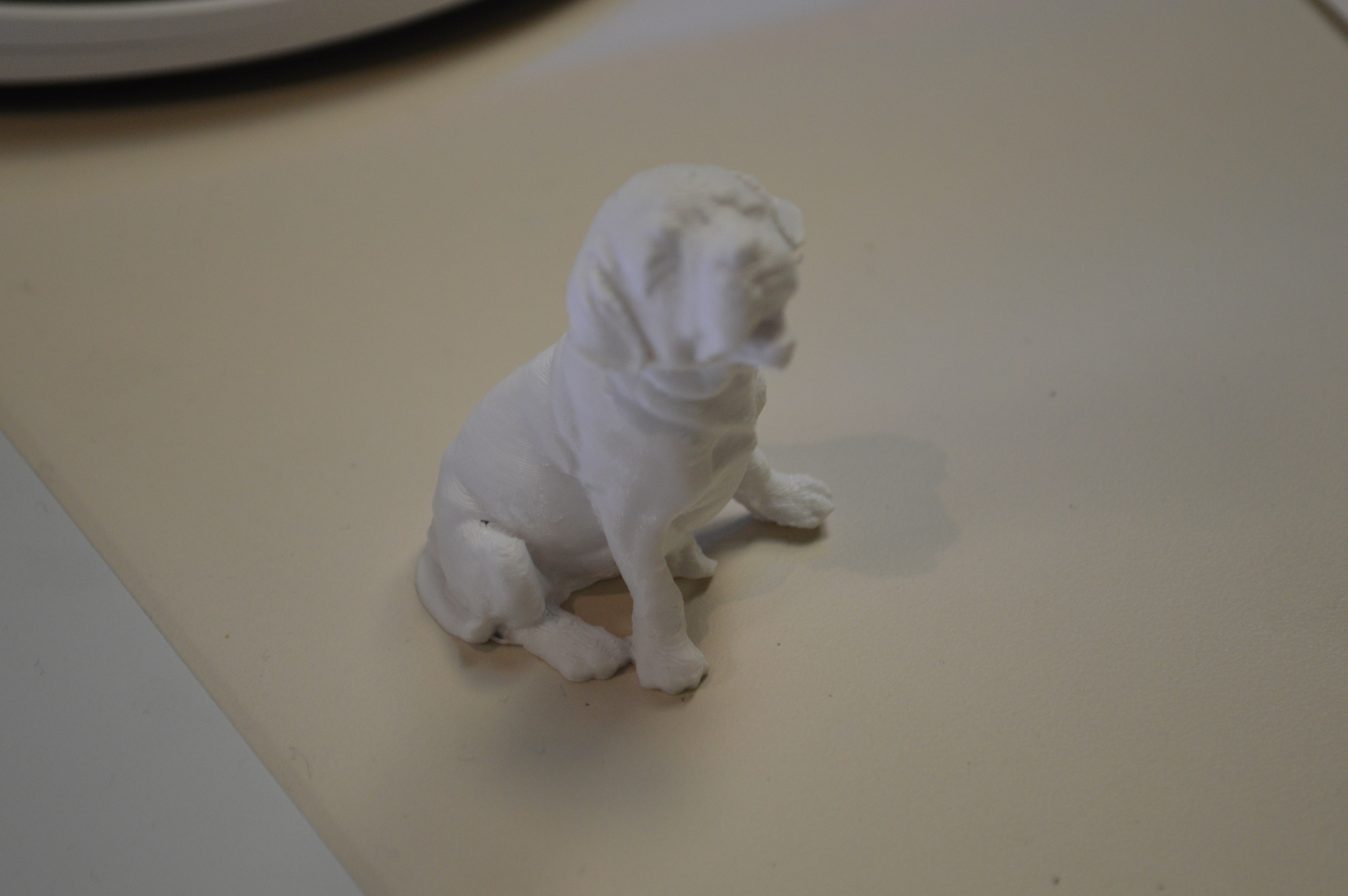 Puppy