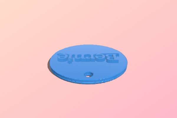 Bernie Sanders 2016 Pendant_Earring_Charm | 3d print model