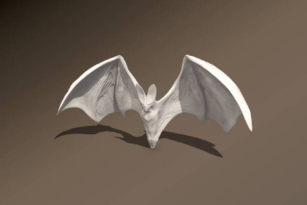 Ghost Bat | 3d print model