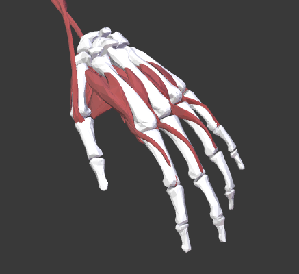 Multi material hand | 3d print model