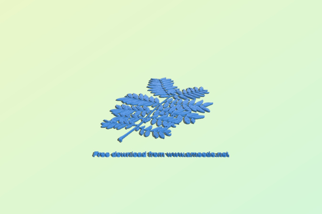 Pinnate leaf branch