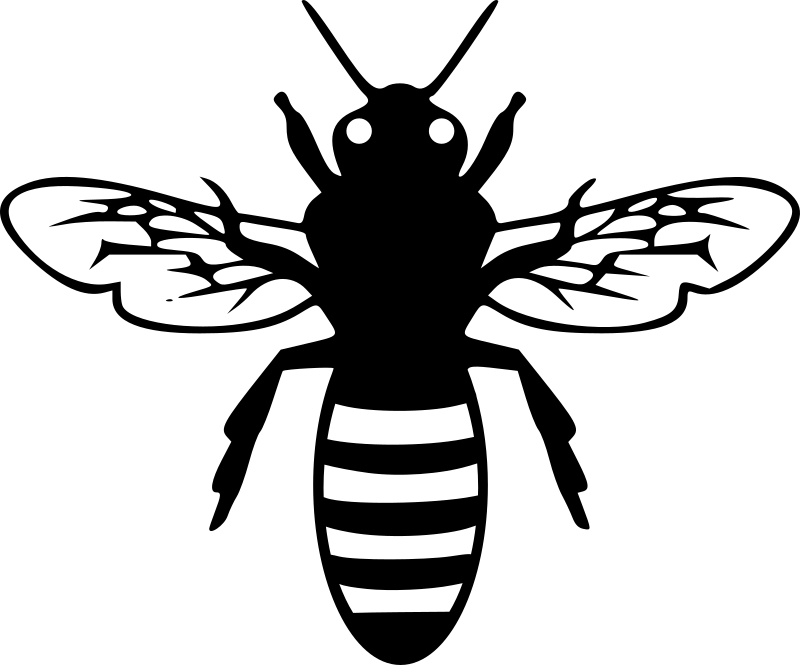 Bee pictogram