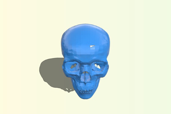 skull | 3d print model