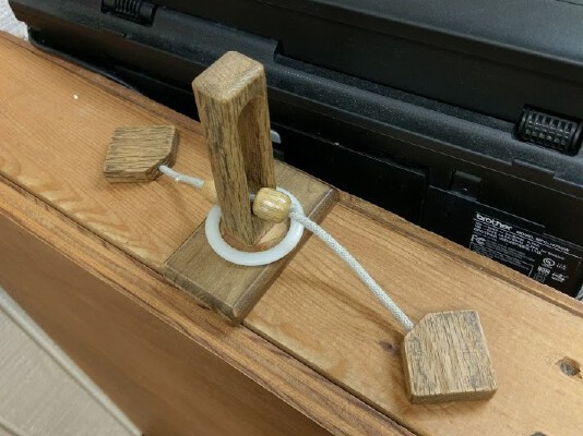 Trapped Ring (Wit's End) Puzzle | 3d print model