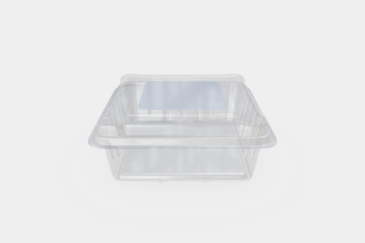 Transparent Plastic Food Box Mockup