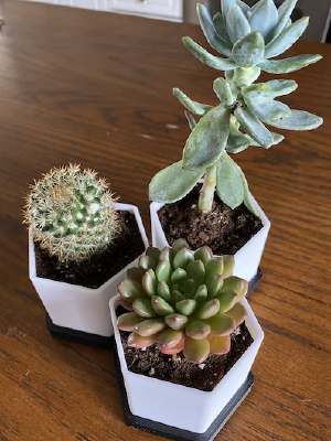 Succulent Planter Pot | 3d print model