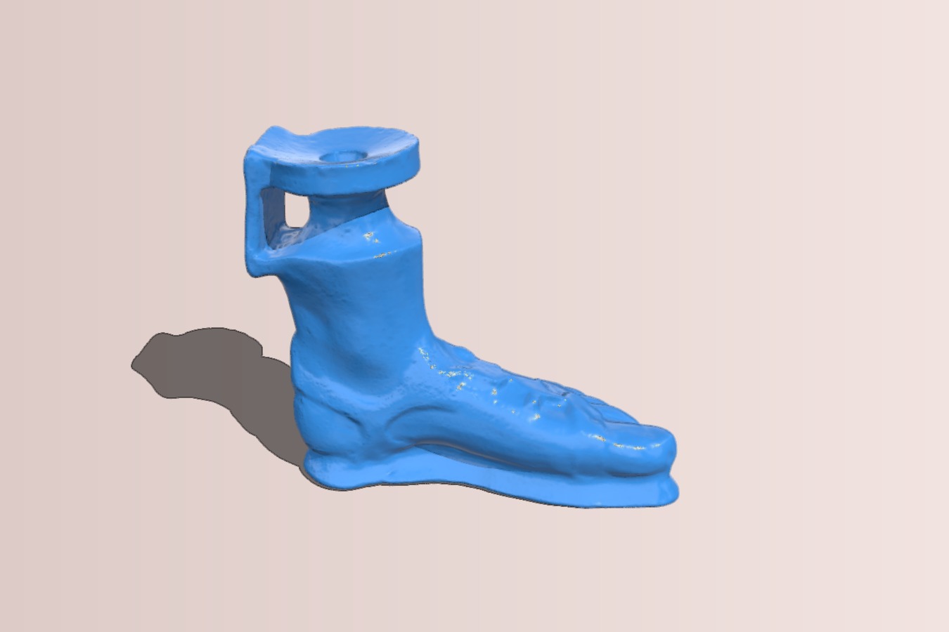 Foot