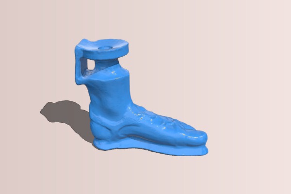 Foot | 3d print model