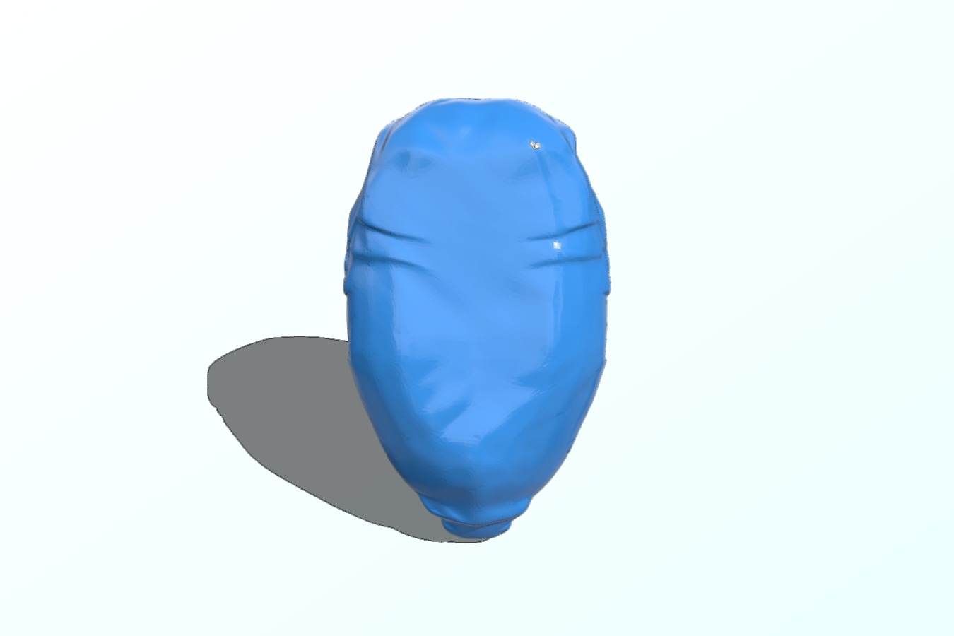 Broken Statue Head