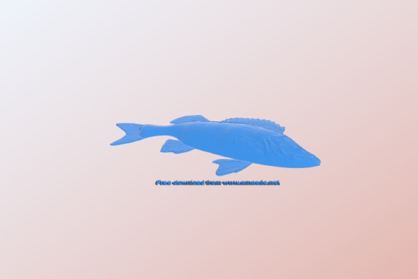 Fish | 3d print model