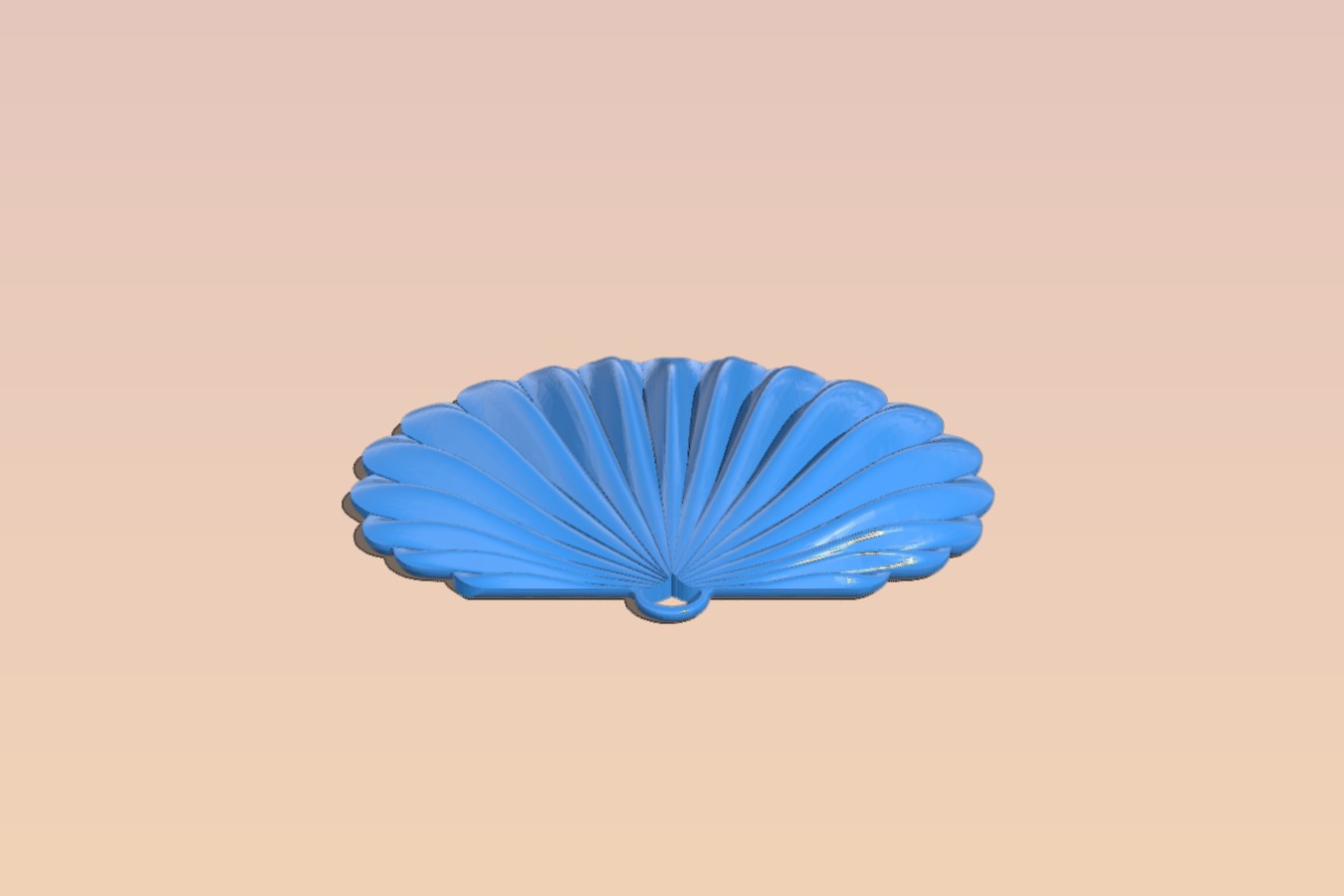 Seashell