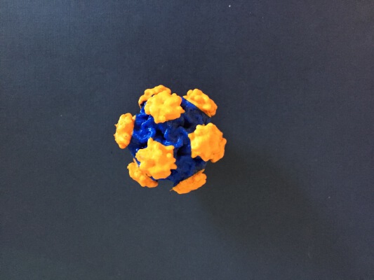 Dual Color Virus Structure (HPV) | 3d print model