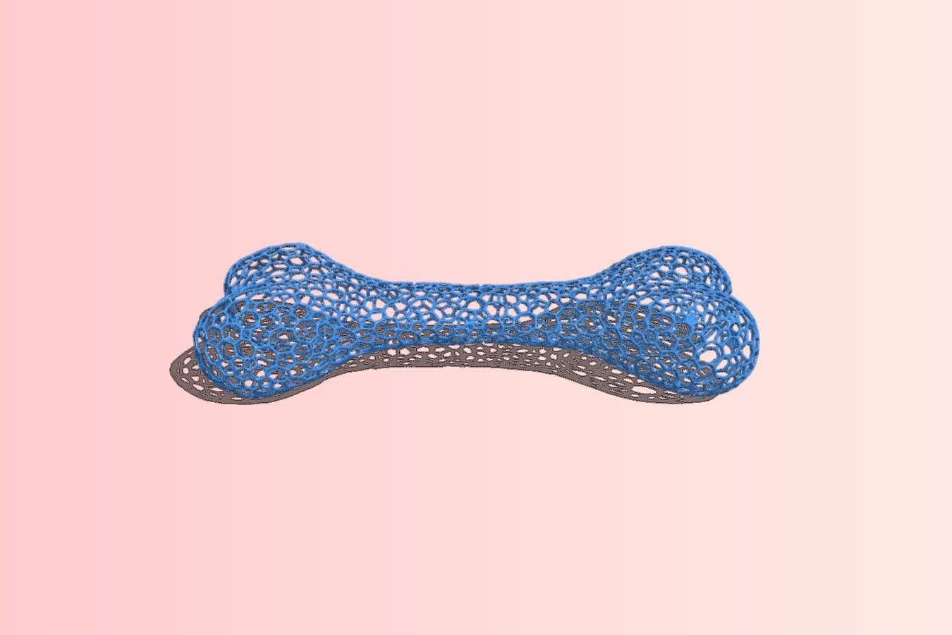 The bone