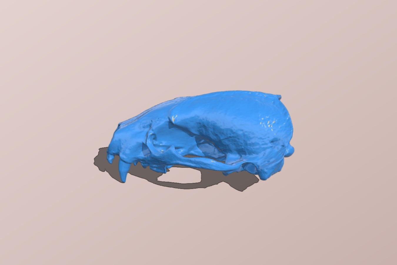 26599ede-b3c4-4e2d-9ec6-9edc4fc71556
