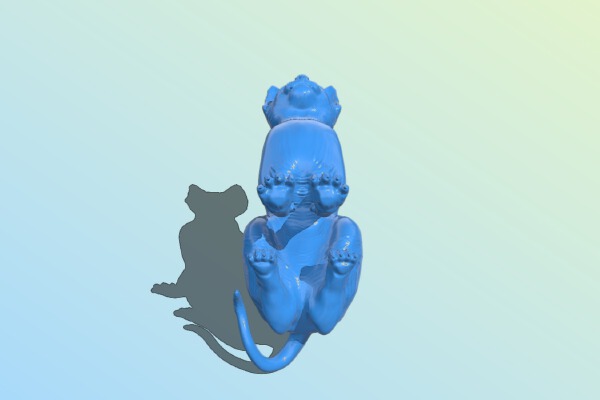 Hairless Cat | 3d print model