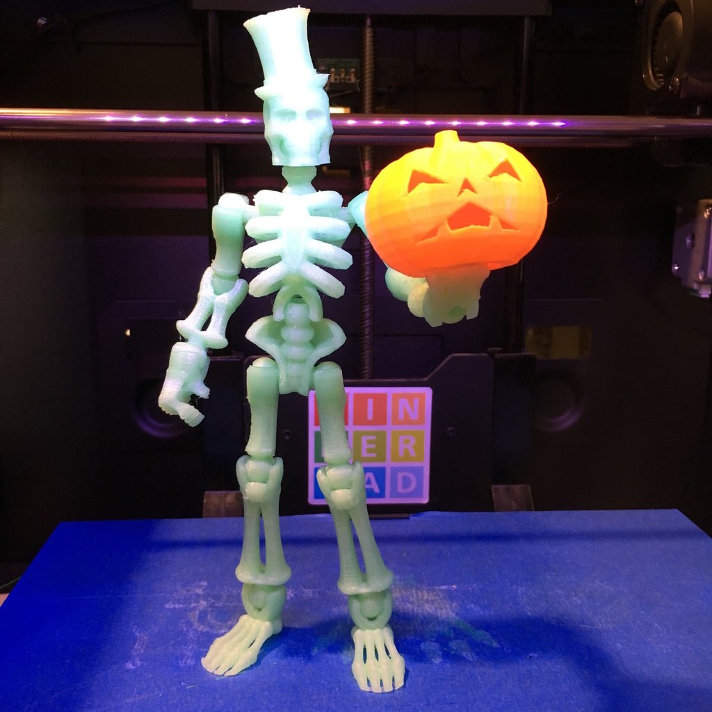 Glow-in-the-dark, poseable Skeleton w_ extras