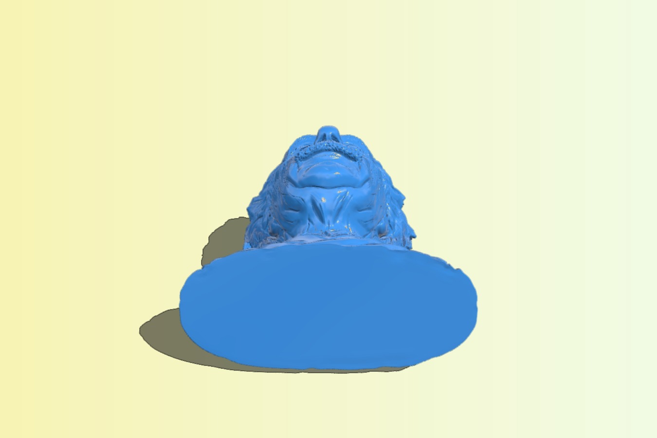 Mr Einstein bust