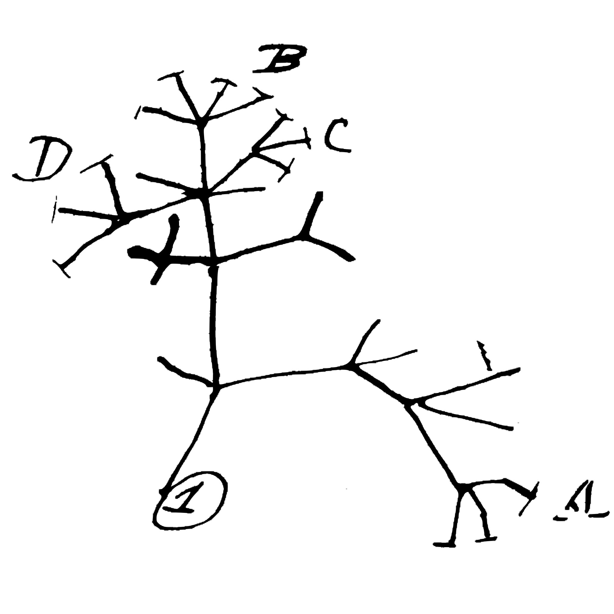 8ae4a026-8e9e-4f91-9400-08fd53e4ca45