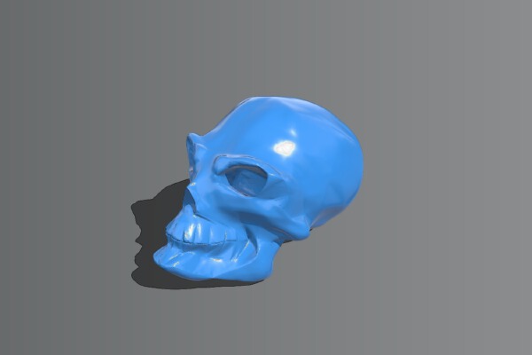 Skull | 3d print model
