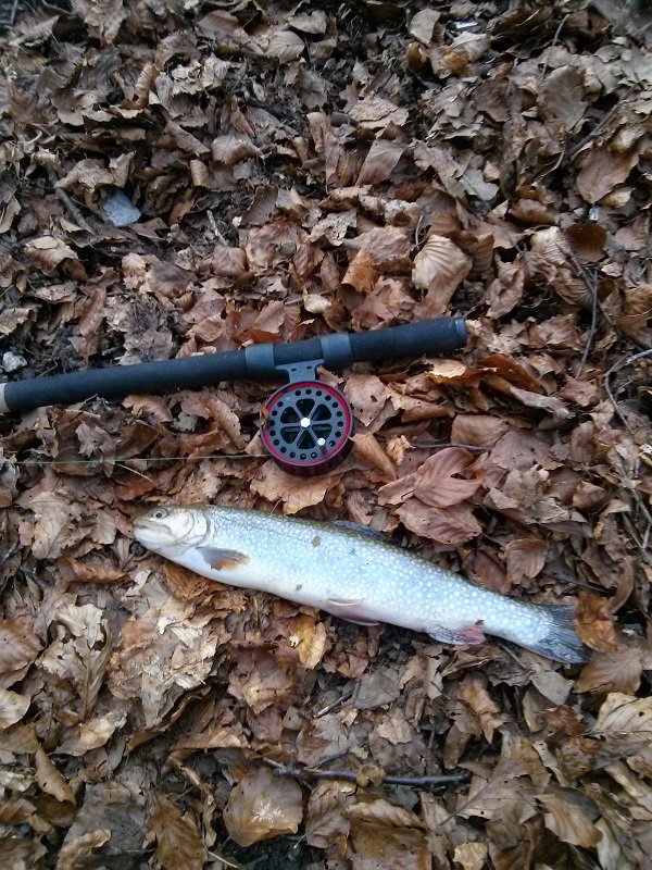 V2 Fishing rod REEL - MOULINET Version2