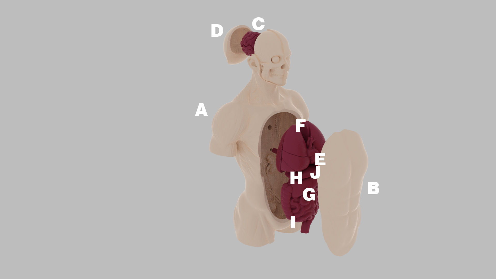 21d289b2-003d-4ab1-aa8f-d8d632ce357e