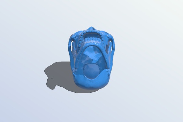  | 3d print model