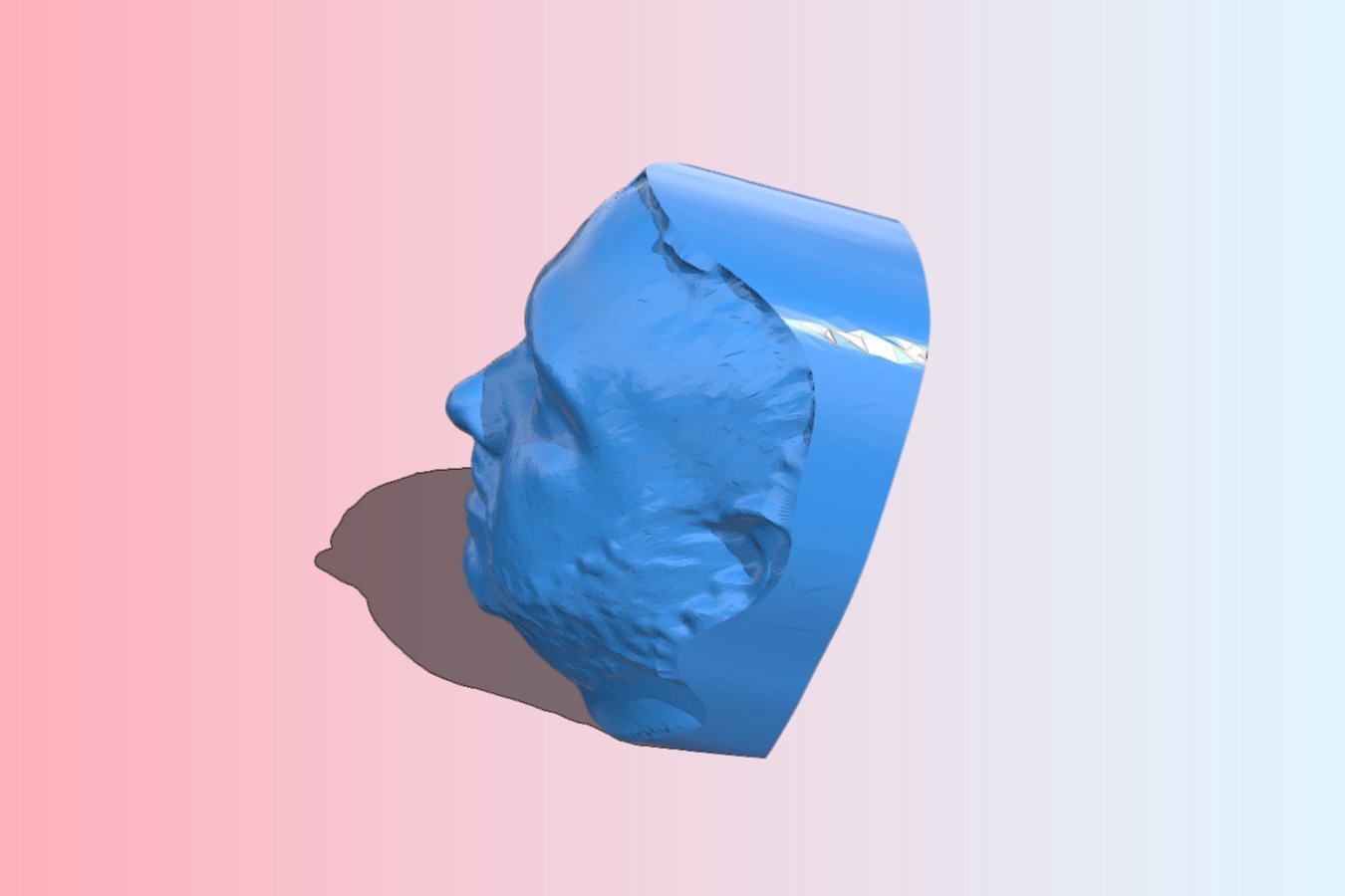 My MakerBot 3D Portrait from Jan 29, 2013