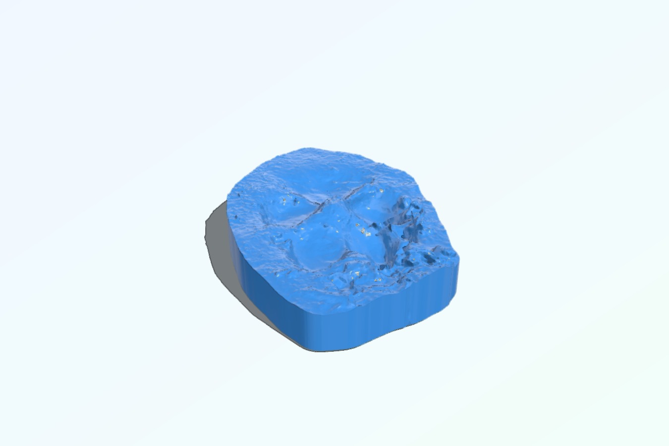 3D scanned animal tracks
