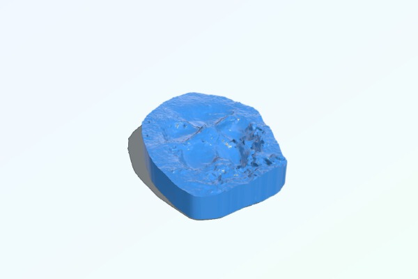 3D scanned animal tracks | 3d print model