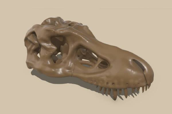 Dinosaur Head Skull | 3d print model