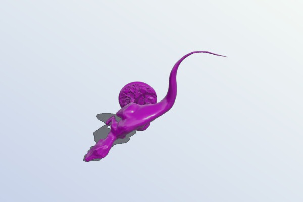 Raptor | 3d print model