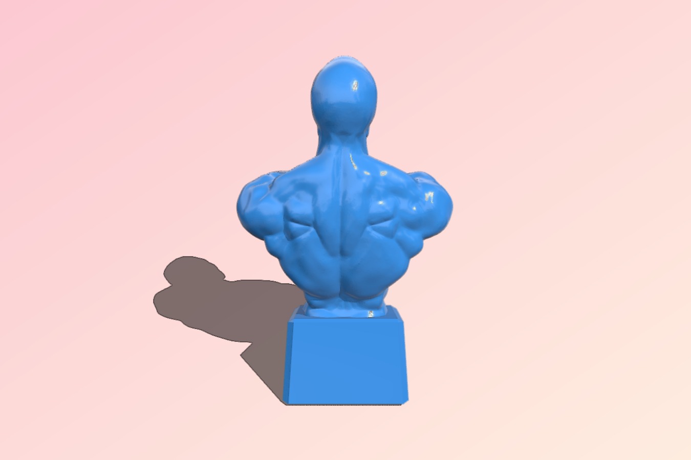 Man muscular torso – bust
