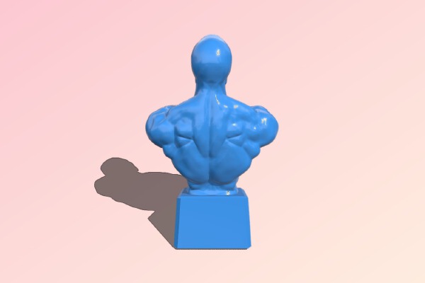 Man muscular torso – bust | 3d print model