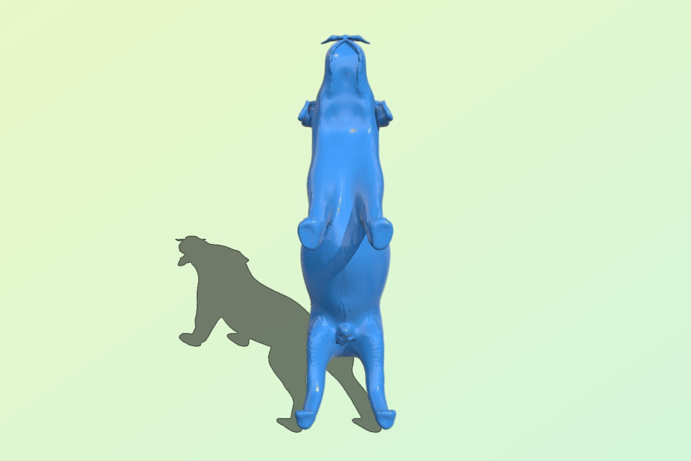 Labrador – Pepe the dog