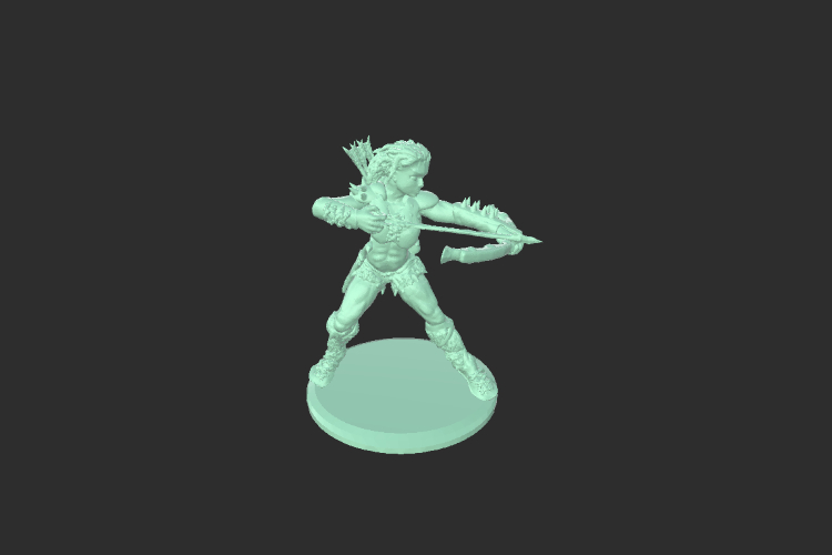 Female Barbarian in Armor
