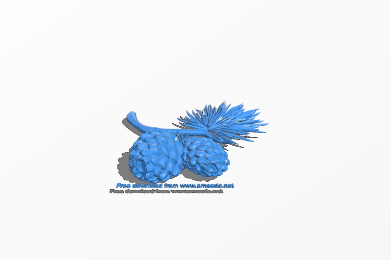 Branch with pine cones