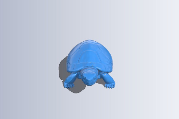 Realistic Turtle | 3d print model