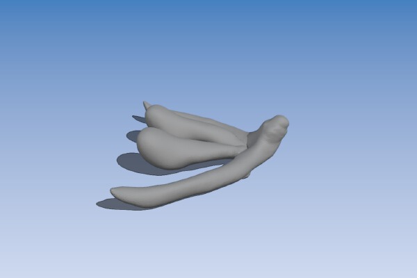 Clitoris Badge | 3d print model