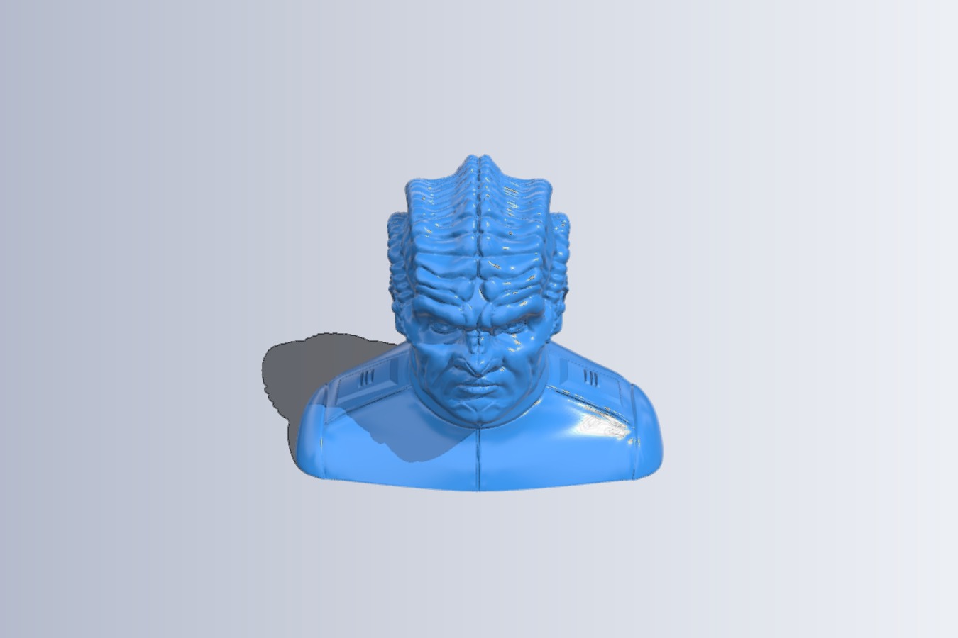 Bortus Bust