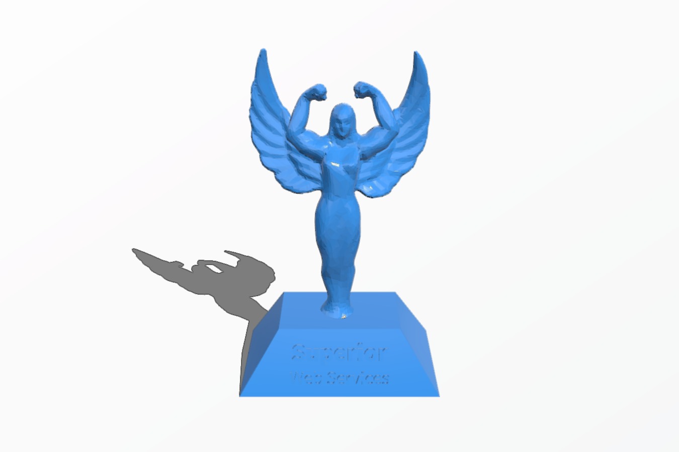 Superior Web Services Trophy