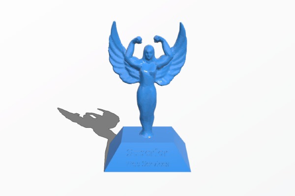 Superior Web Services Trophy | 3d print model