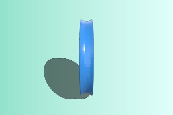 Frisbee Disk | 3d print model