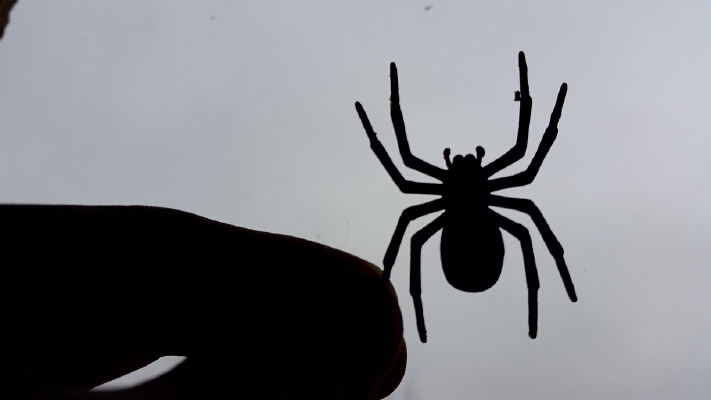 House Spider Fixed | 3d print model