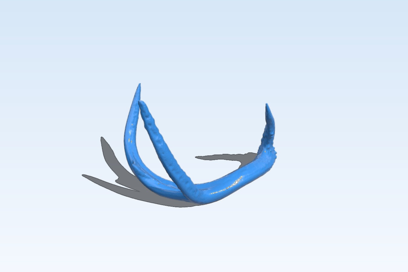 Antler 1 of 2