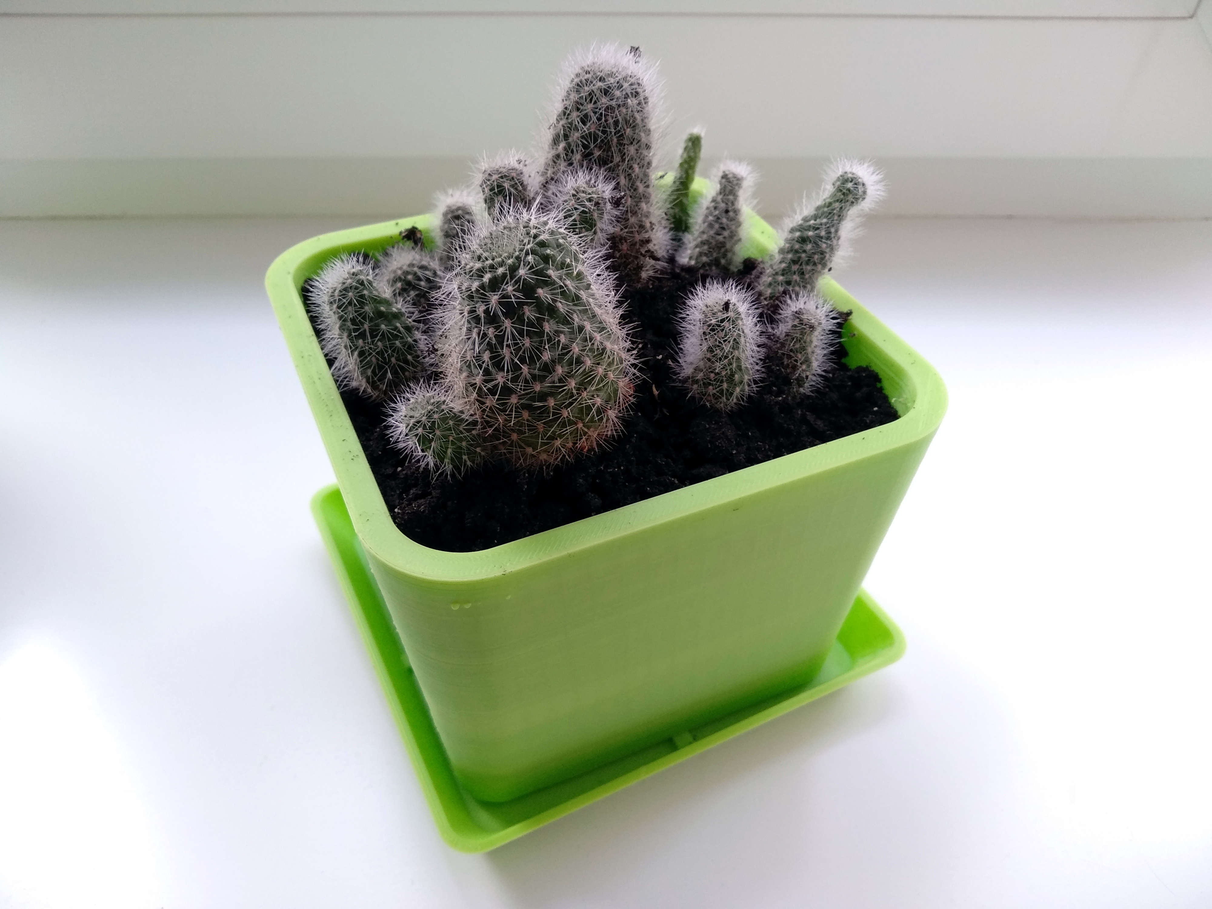Cubic Flower Pot