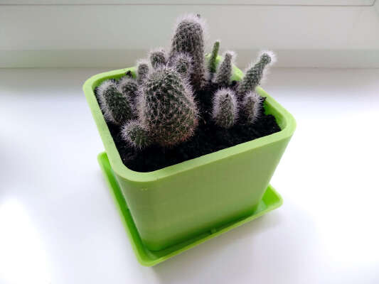 Cubic Flower Pot | 3d print model