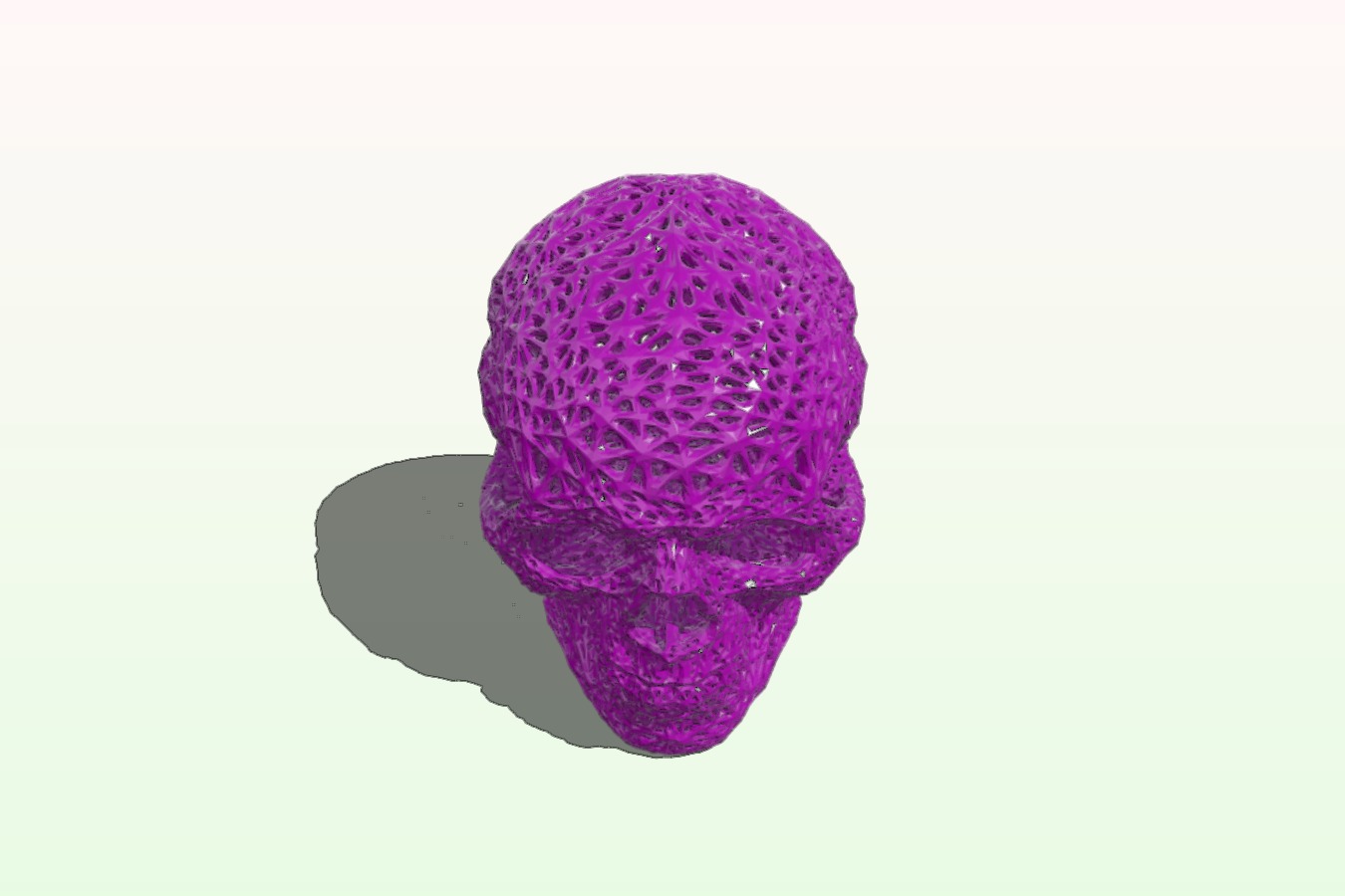 Meshed Skull