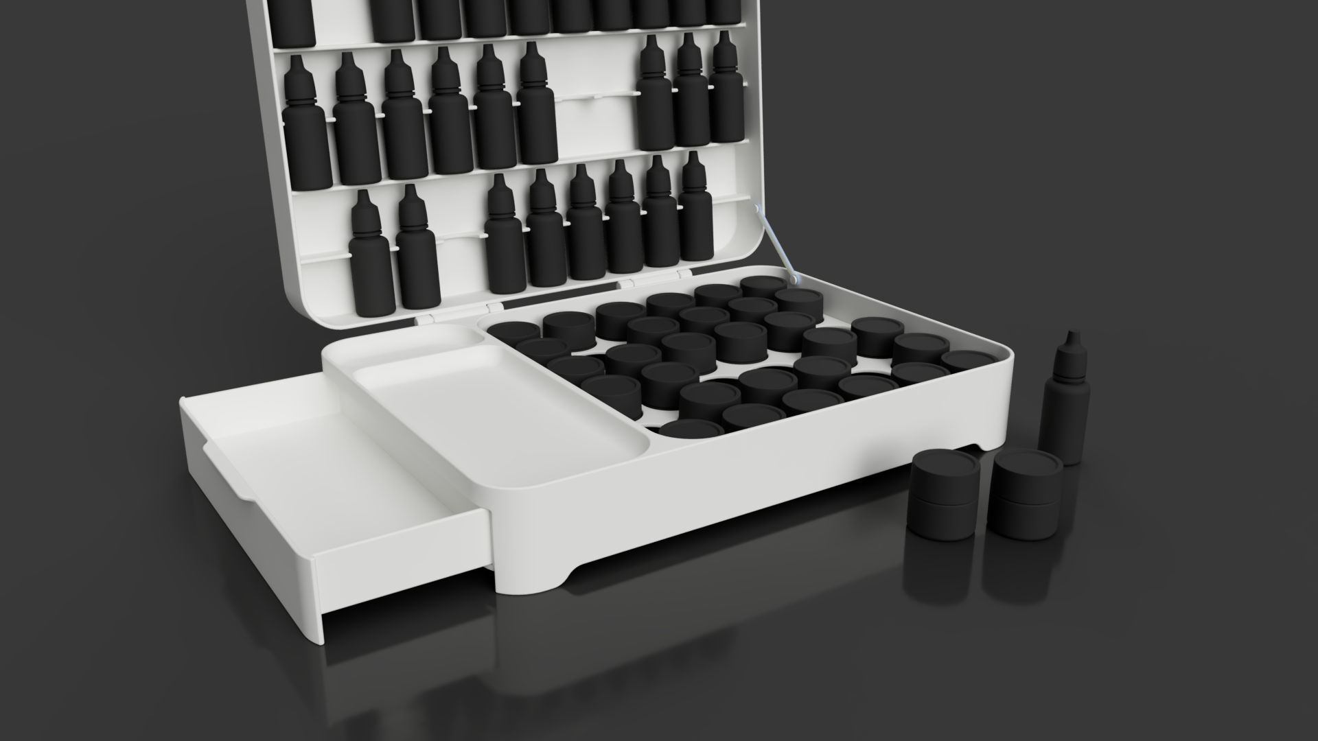 Model-Paint Organizer
